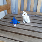 Hajen och fjällräven sitter på en bänk.