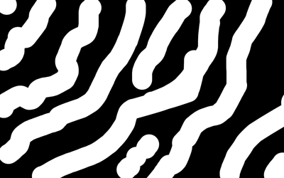 Zebra puzzle