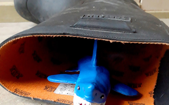 Hajen ligger i en stövel.