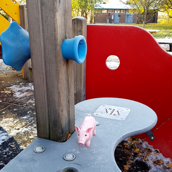 Grisen på en klätterställning.